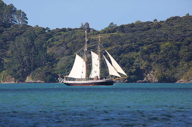 Sail on the R Tucker Thompson, Bay of Islands, NZ